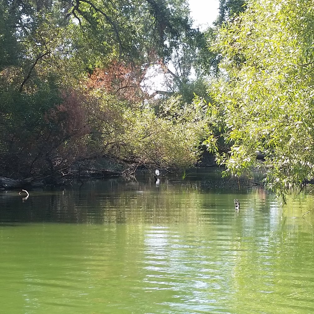 Clear Lake Campground - Highly recommend Shady Acres Campgrounds @ Clear Lake! Beautiful scenery. Fun activities! Thanks Eddie & Lisa for a memorable time! - Boating Near Me - Clearlake, California Clear Lake Campground - Highly recommend Shady Acres Campgrounds @ Clear Lake! Beautiful scenery. Fun activities! Thanks Eddie & Lisa for a memorable time! - Boating Near Me - Clearlake, California