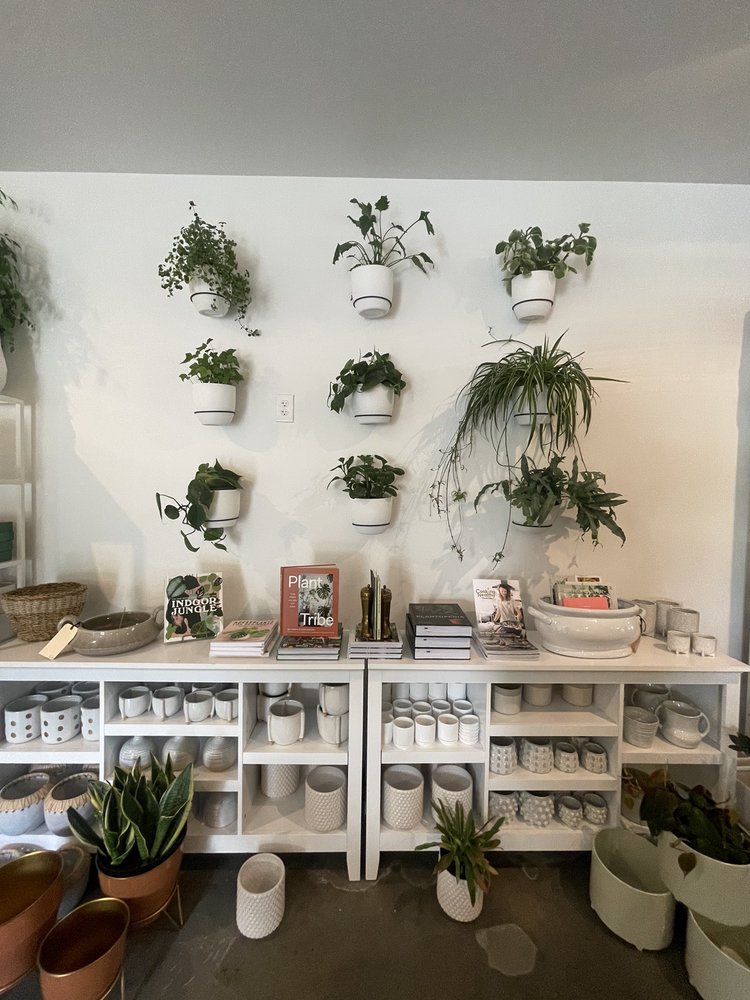 THE PLANTED HOME Updated May 2024 3512 Tieton Dr, Yakima