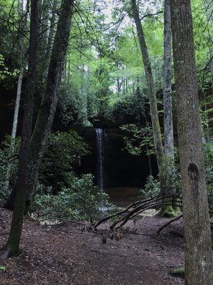 Daniel Boone National Forest by null