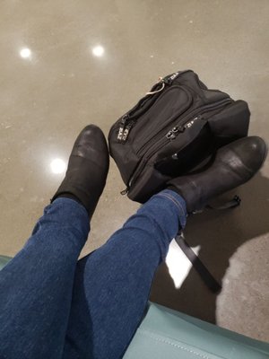 Portland Community College Cascade by null