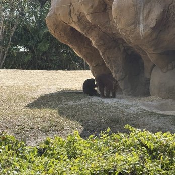 Zoo Miami - Zoos Near Me - Miami, Florida Zoo Miami - Zoos Near Me - Miami, Florida