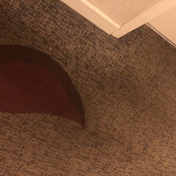 DoubleTree by Hilton Hotel Pittsburgh - Green Tree - Carpets that need a good cleaning or replacing - Hotels Near Me - Pittsburgh, Pennsylvania