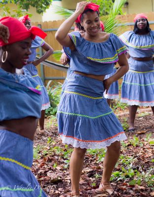 Tap Tap Tours & Transportation LLC by null