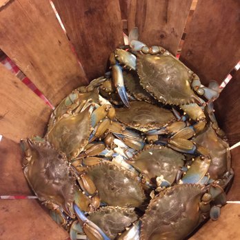 Dom's Seafood - Basket of live crabs.   Can't get any fresher - Seafood Near Me - Bensalem, Pennsylvania