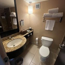 Crowne Plaza Lombard Downers Grove - Bathroom