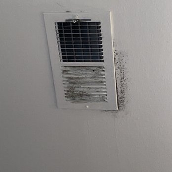 The Monroe Apartments - Mold that wasn't taken care of for over 5 months never tested we had to personally get someone to test it - Apartments Near Me - Glendale Heights, Illinois The Monroe Apartments - Mold that wasn't taken care of for over 5 months never tested we had to personally get someone to test it - Apartments Near Me - Glendale Heights, Illinois