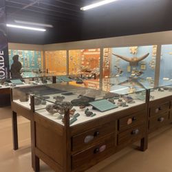 Hastings Museum