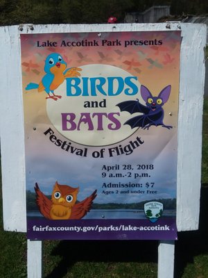 Birds and Bats Festival of Flight