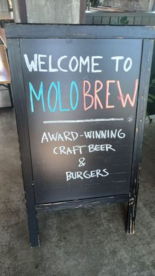 Molo Brew by null