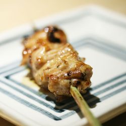 Rib (add-on)