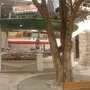 Photo of Krispy-Kreme México, S. de R.L.