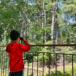 Norwell Public Library - Back porch for reading (and birdwatching!) surrounded by trees and wildlife. So peaceful.