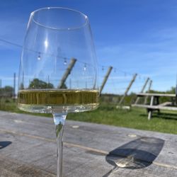 Three Trees Vineyard - Dry riesling- delicious and love their choice of glasses