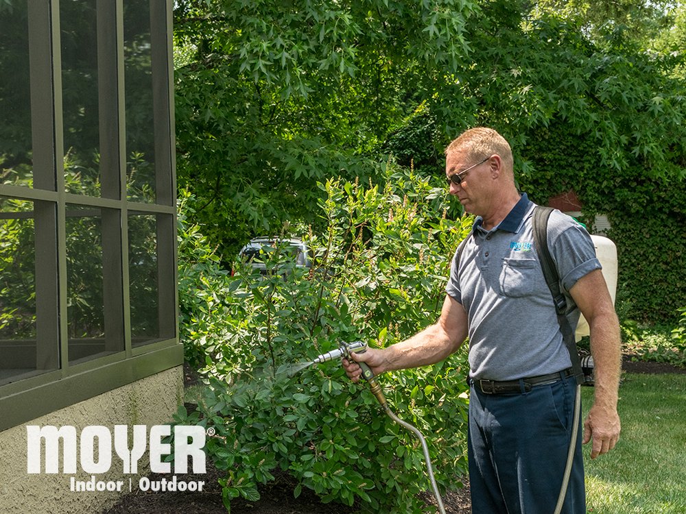 Slide of Moyer Pest Control