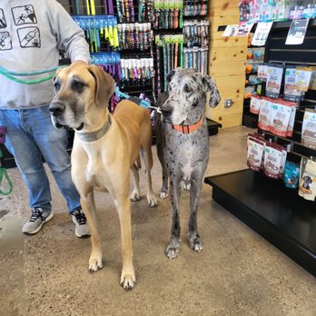 Local Paws - Wilbur and Pepper - Pet Stores Near Me - Redmond, Oregon Local Paws - Wilbur and Pepper - Pet Stores Near Me - Redmond, Oregon