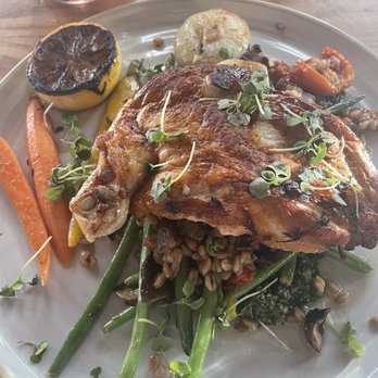 Yardbird Table & Bar - Chicken breast - Southern Near Me - Miami Beach, Florida Yardbird Table & Bar - Chicken breast - Southern Near Me - Miami Beach, Florida