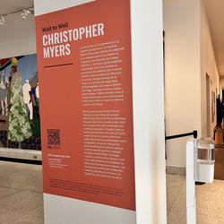 Birmingham Museum of Art - Wall to wall artist