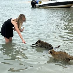 Aquatic Adventures