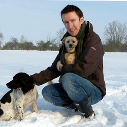 The Urban Dog Walker