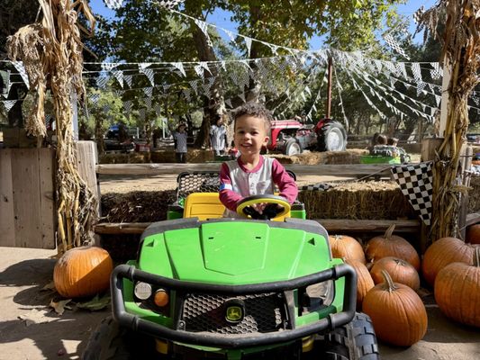Irvine Regional Park by null