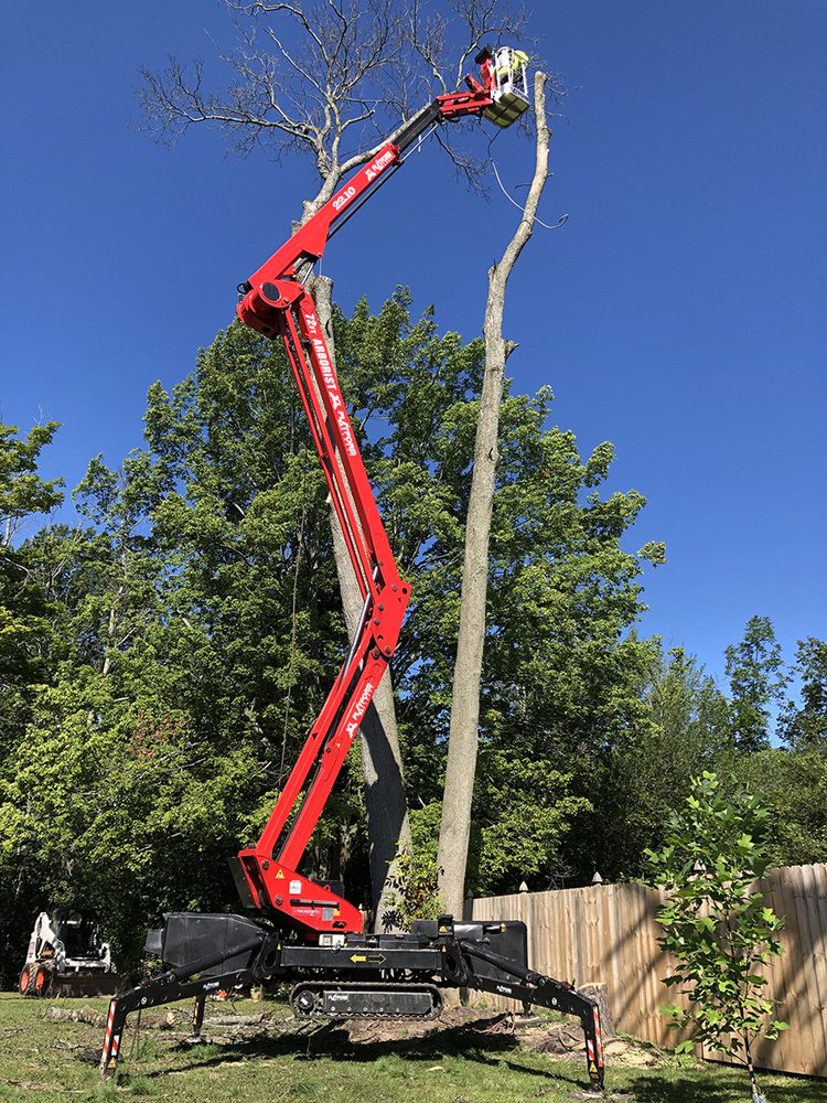 Garcia's Tree Experts - tree service in Bowie, MD