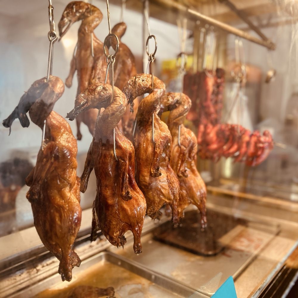 Best Hong Kong Dining - Roast Duck - Chinese Near Me - Mesa, Arizona