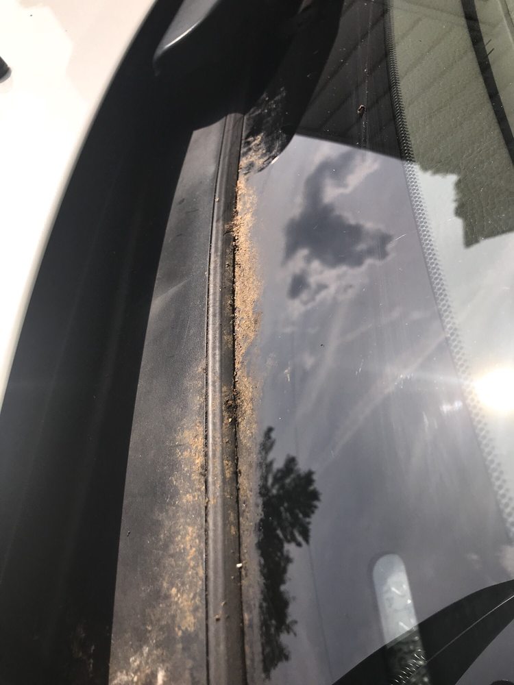 MAIN CAR WASH Updated September 2024 12 Reviews 100 E Main St