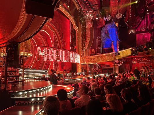 Al Hirschfeld Theatre by null