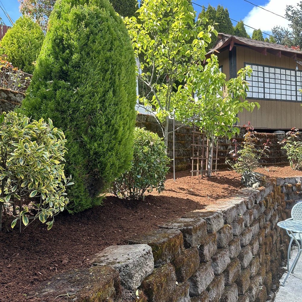 AKT Landscaping - Landscaping Near Me - Seattle, Washington AKT Landscaping - Landscaping Near Me - Seattle, Washington