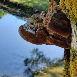 Pyramid State Park - Nature