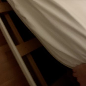 Pitchwood Alehouse - No box spring, prepare for a restless night sleep. - Pubs Near Me - Raymond, Washington Pitchwood Alehouse - No box spring, prepare for a restless night sleep. - Pubs Near Me - Raymond, Washington