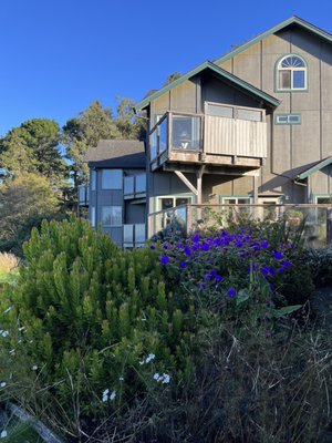 Turtle Rocks Oceanfront Inn by null