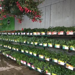 Linden Ace Hardware