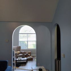 LDM Handyman Services