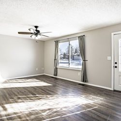 Diemer Renovations