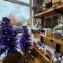 Photo of Neob Lavender