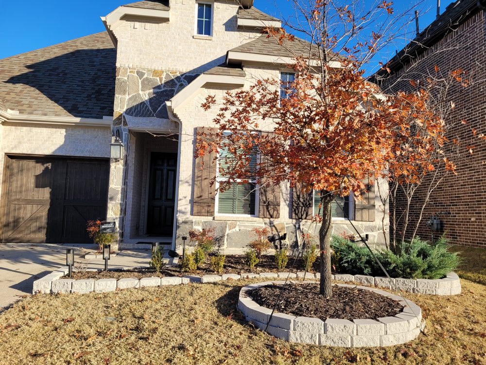 Siara Designs - tree service in Dallas, TX