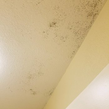 Black Mold In Bathroom Every Bathroom We Inspected 3 Each Had