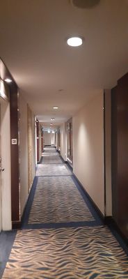Holiday Inn Singapore Orchard City Centre by IHG by null