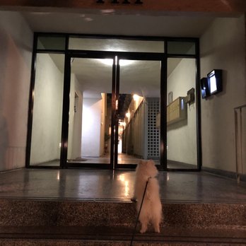 Weho Wags - Coco wants to go back!! - Dog Walkers Near Me - West Hollywood, California Weho Wags - Coco wants to go back!! - Dog Walkers Near Me - West Hollywood, California