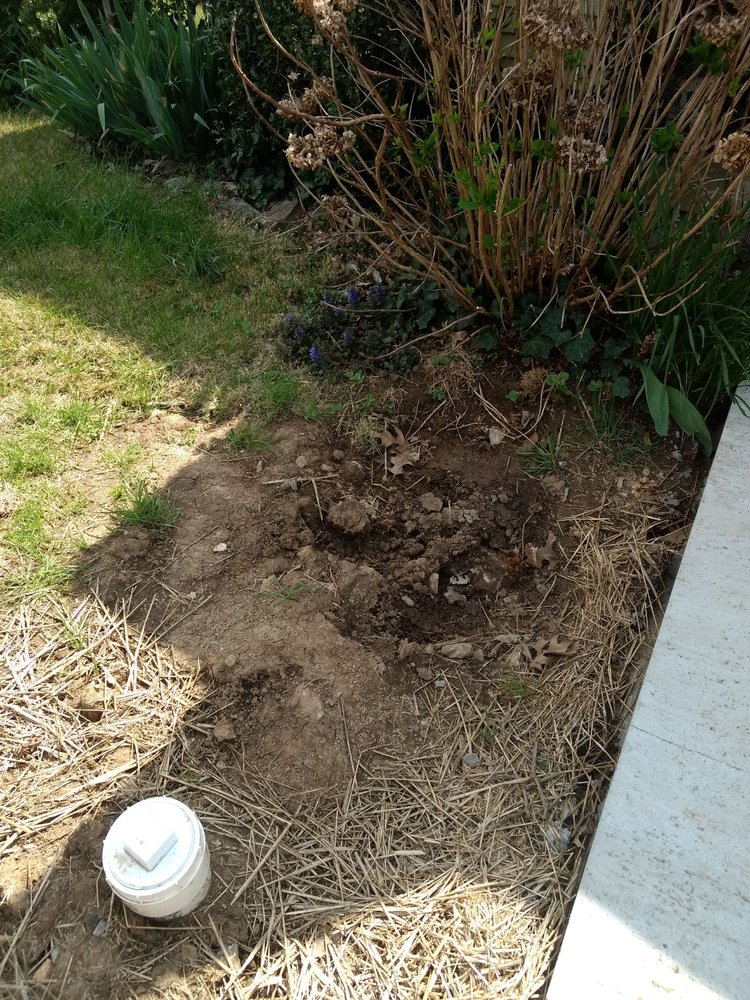 Slide of Pro N Stall