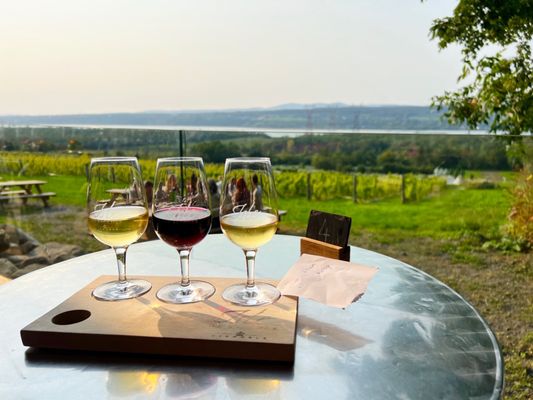 Vignoble Isle de Bacchus by null