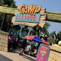 Photo of Camp Cartoon
