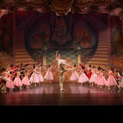 The Premier Ballet School of Orange County