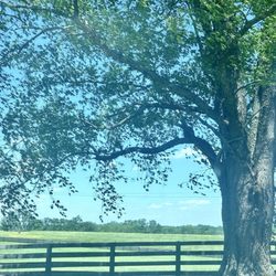 Old Frankfort Pike Scenic Overlook - Along the pike