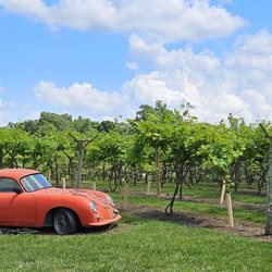 Byrd Cellars