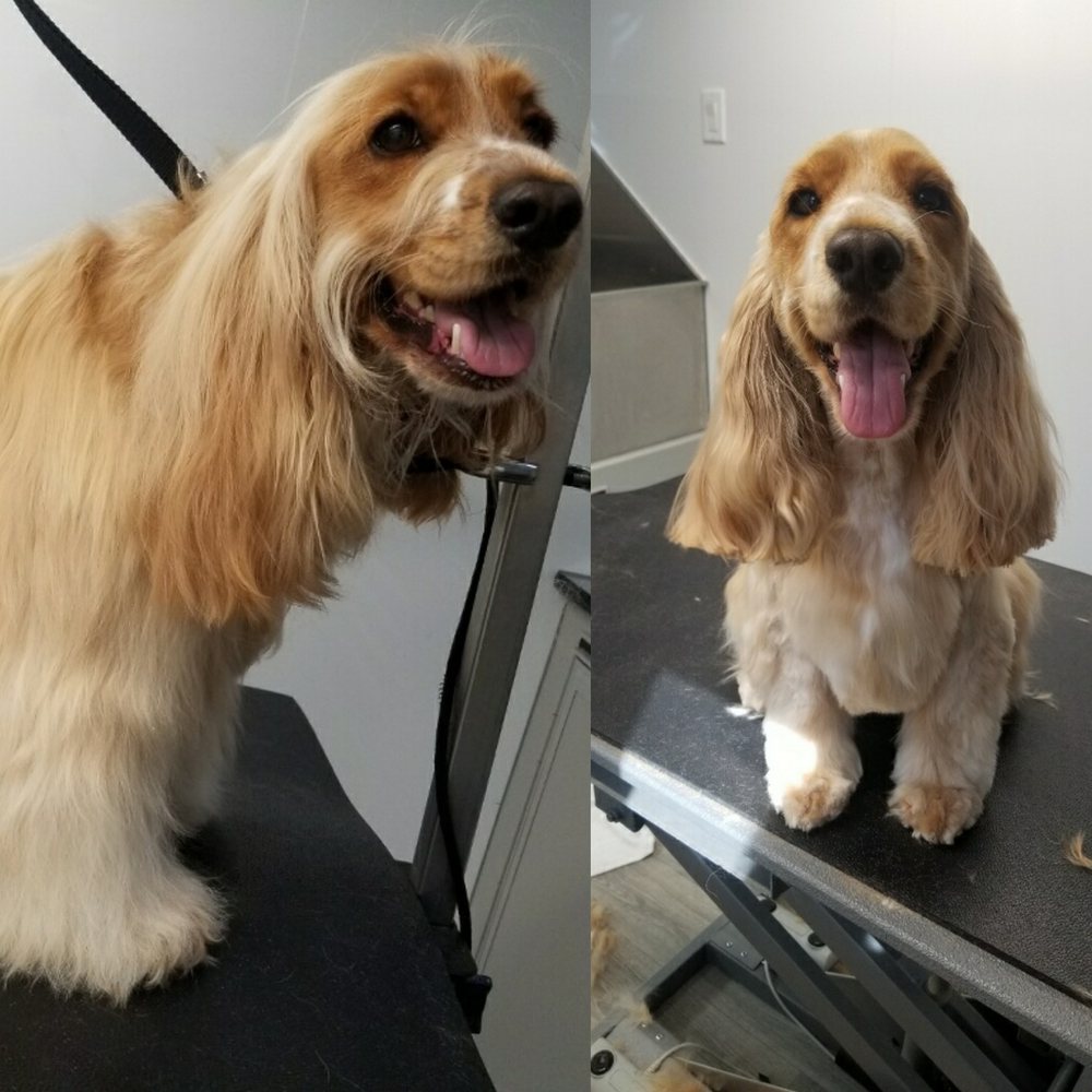 A ROYAL SPAW 39 Photos & 32 Reviews 427 Calle Familia, San Clemente