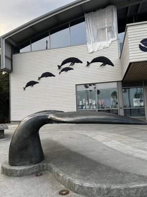 Monterey Bay National Marine Sanctuary Exploration Center by null