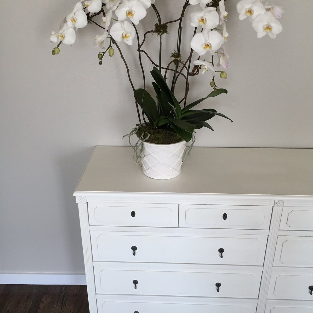 Park Cities Petals - Florists Near Me - Dallas, Texas