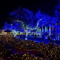 Lights